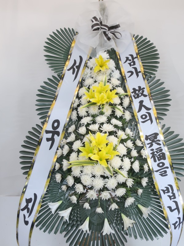 업로드 이미지