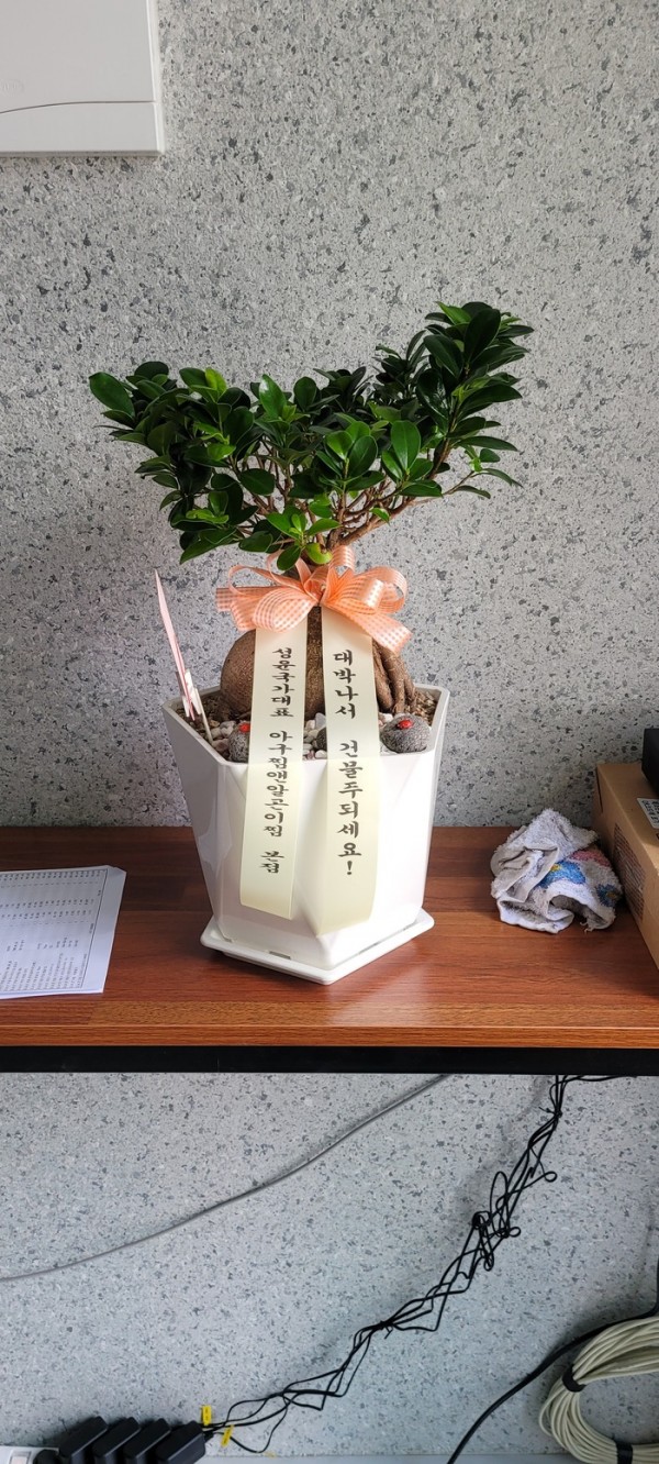 업로드 이미지