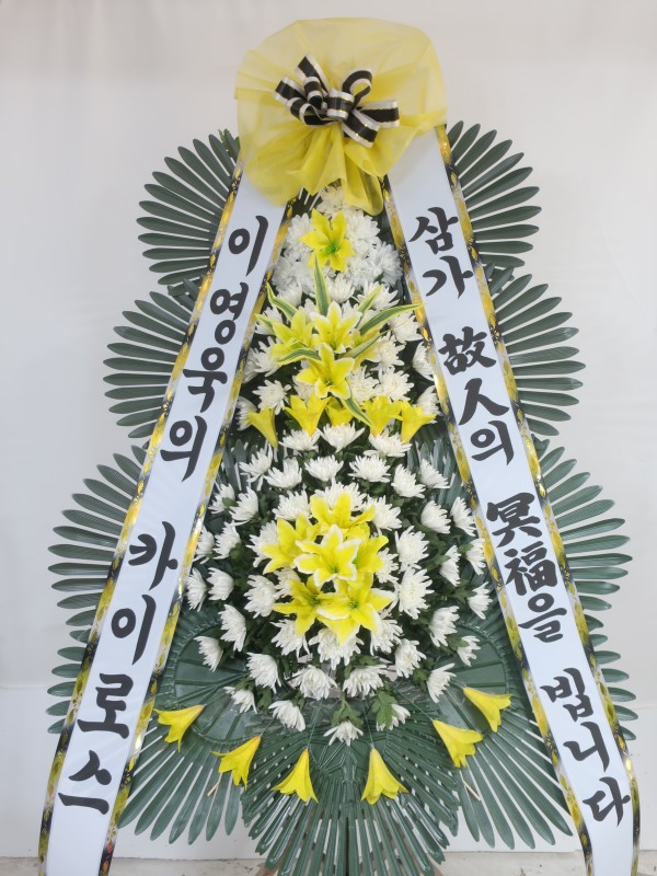 업로드 이미지