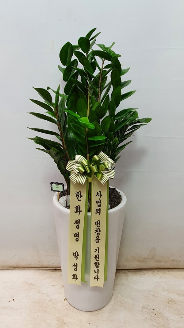 업로드 이미지
