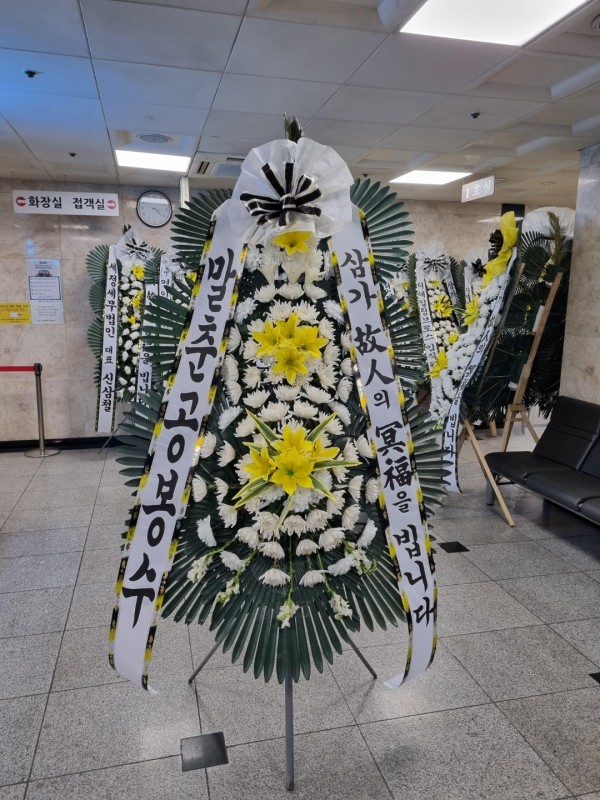업로드 이미지