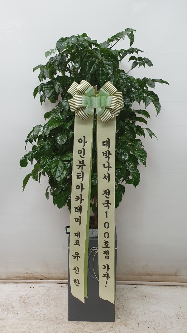 업로드 이미지