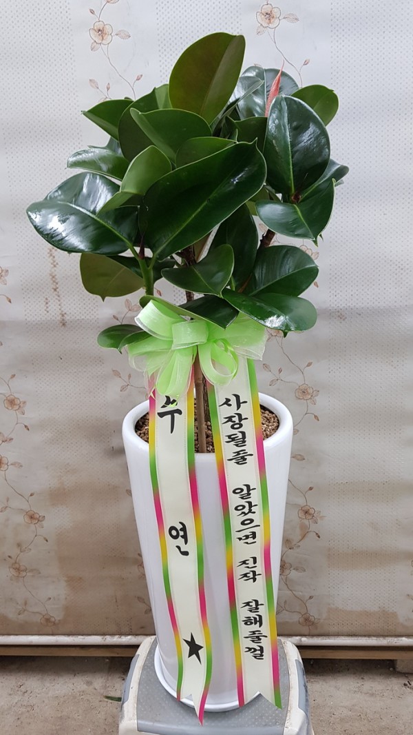 업로드 이미지