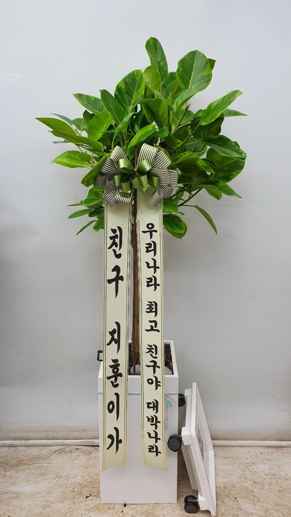 업로드 이미지