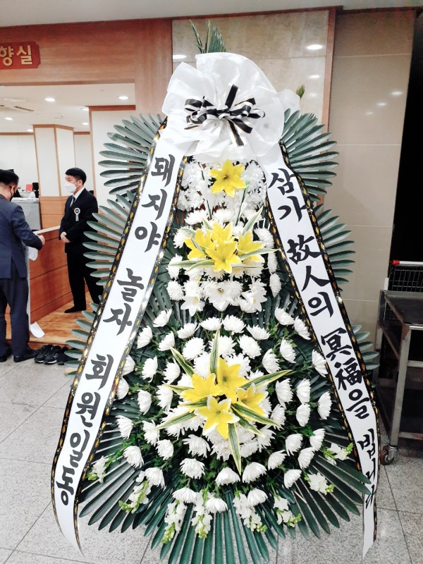 업로드 이미지
