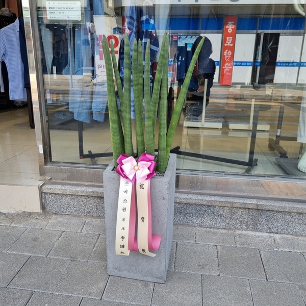 업로드 이미지