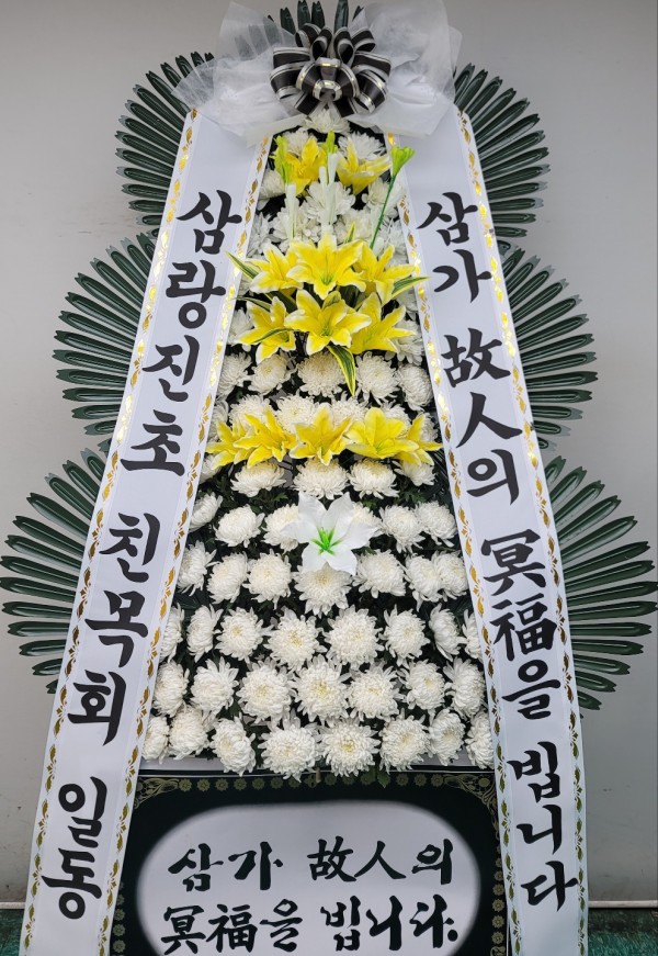업로드 이미지