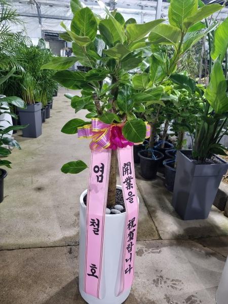 업로드 이미지