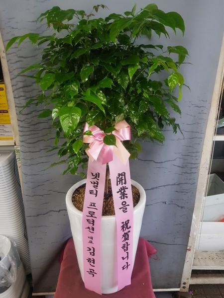 업로드 이미지