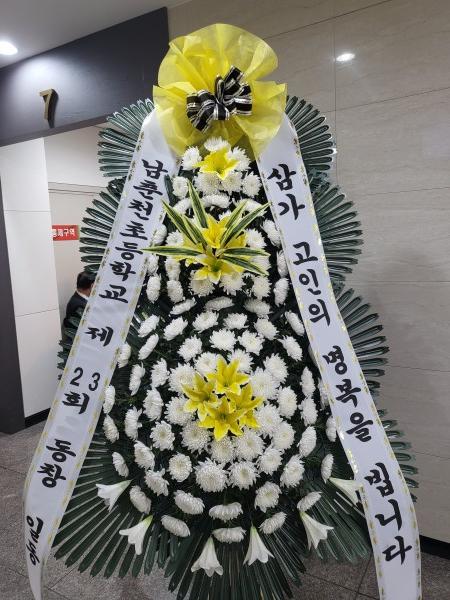 업로드 이미지