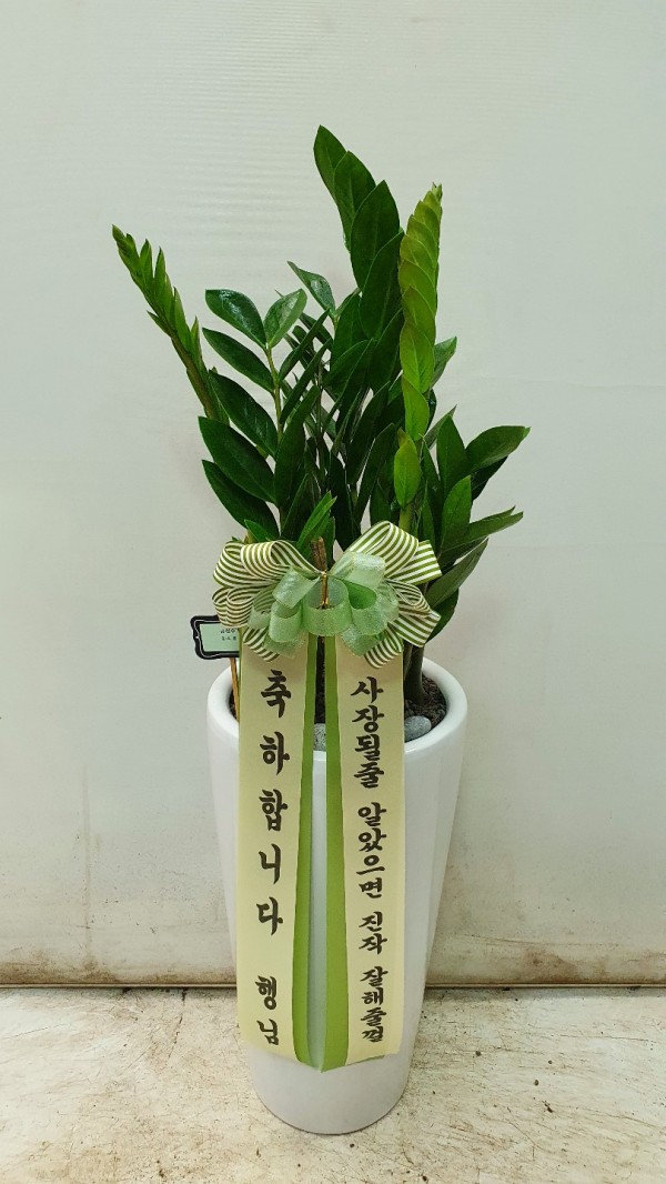 업로드 이미지
