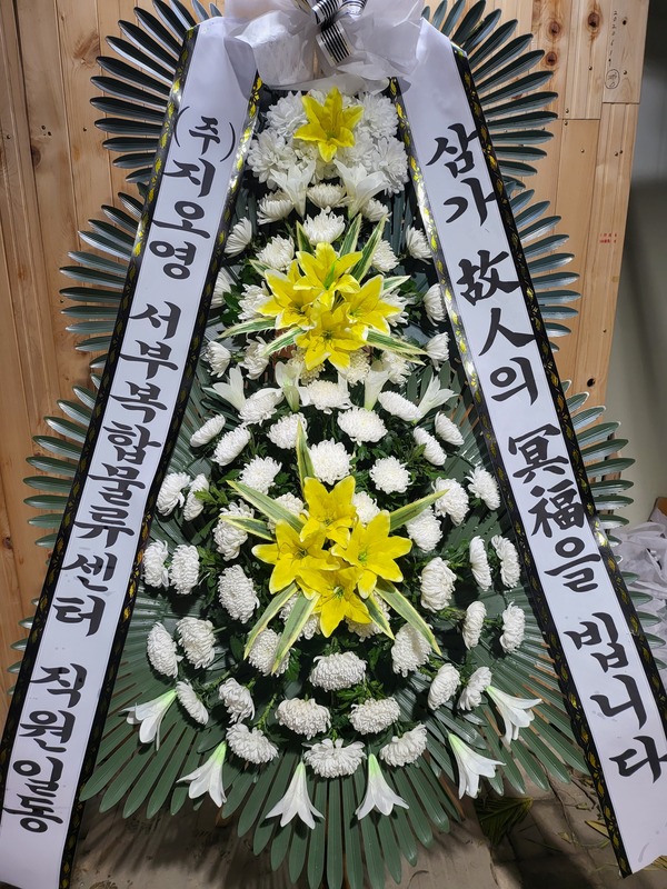 업로드 이미지