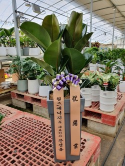 배송사진