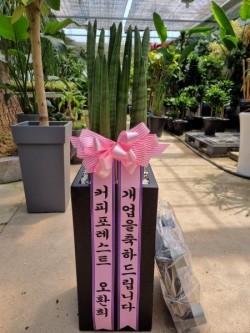 배송사진