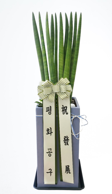 업로드 이미지