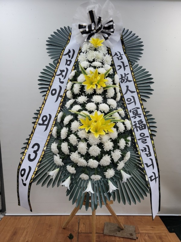 업로드 이미지