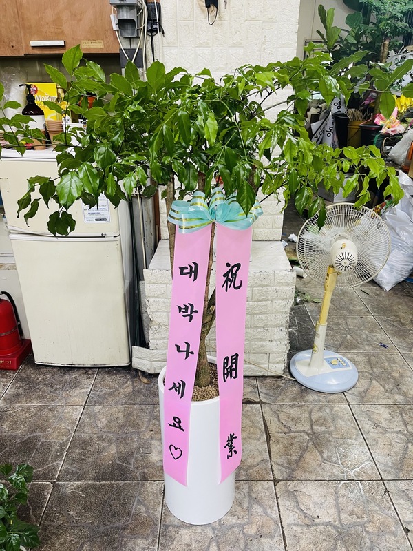 업로드 이미지