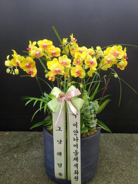 업로드 이미지