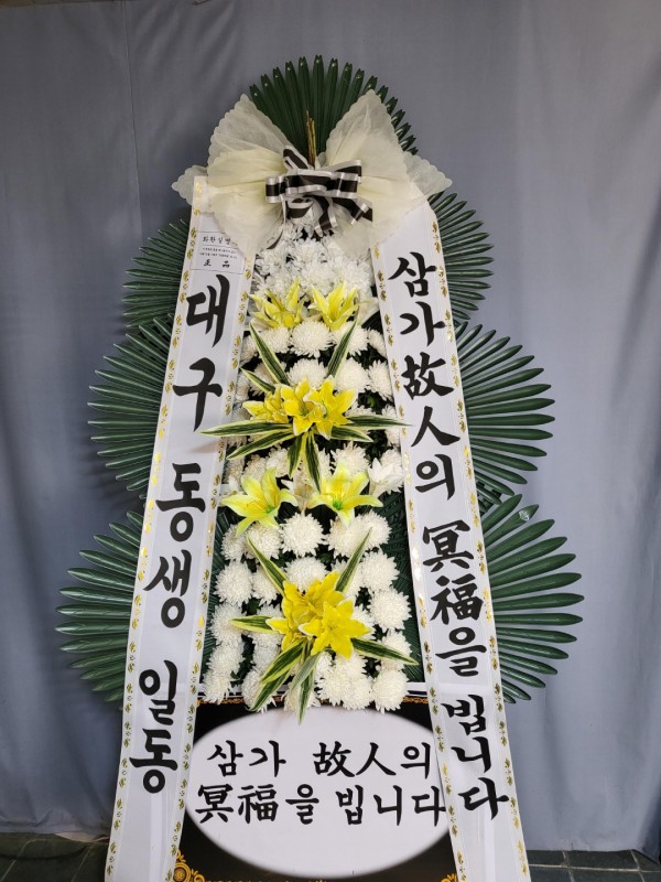 업로드 이미지