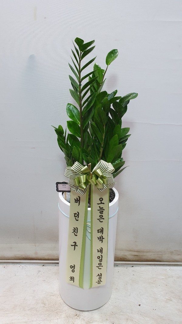 업로드 이미지