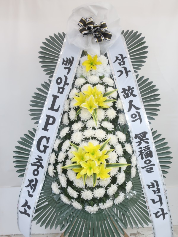 업로드 이미지