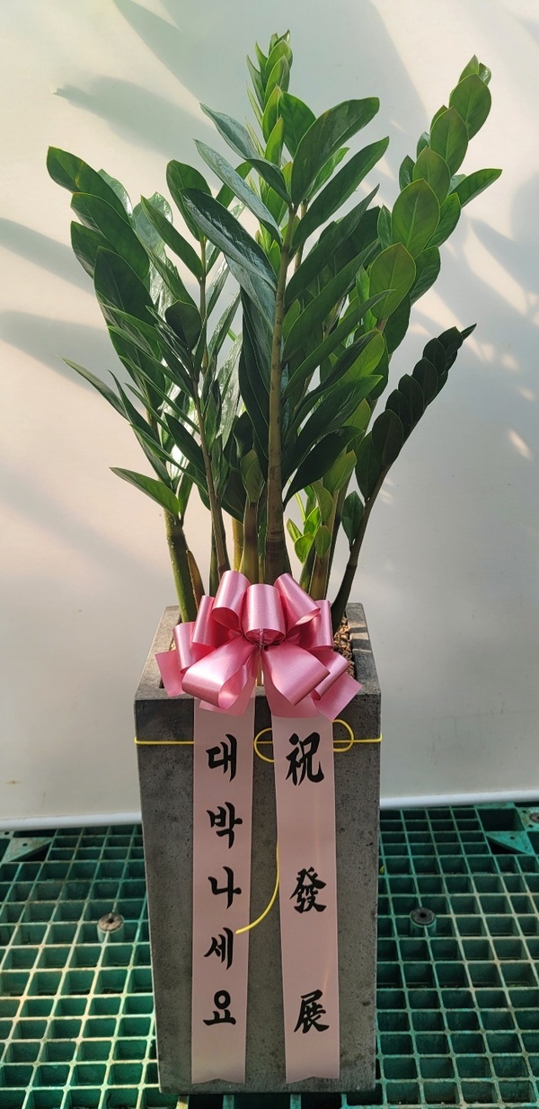 업로드 이미지
