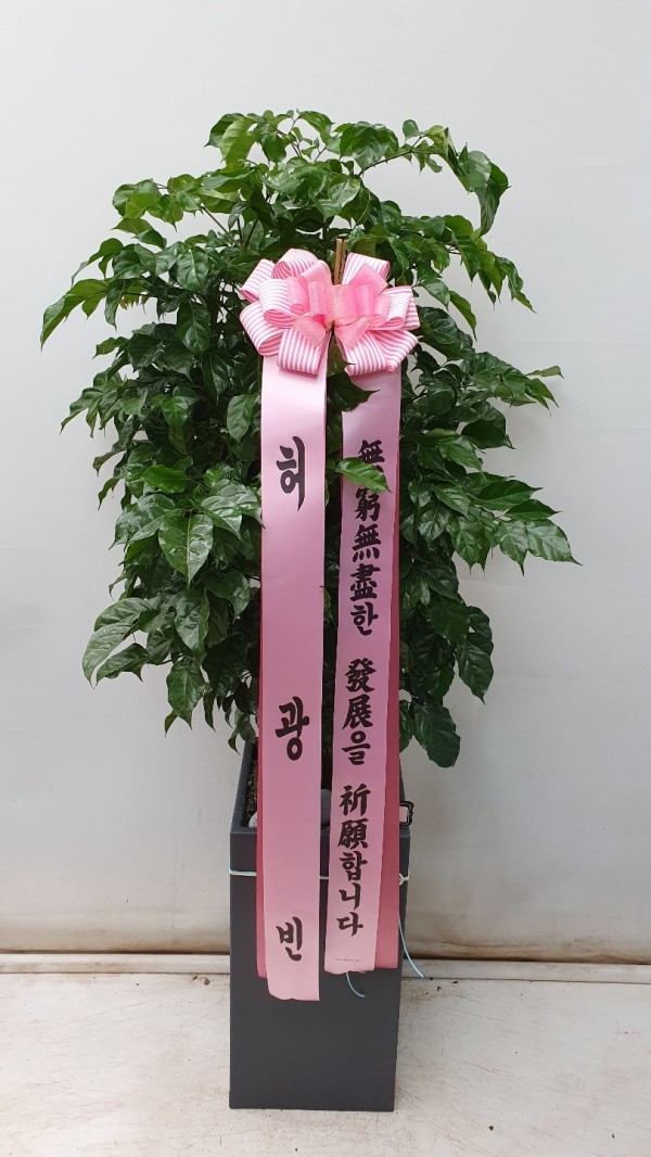 업로드 이미지