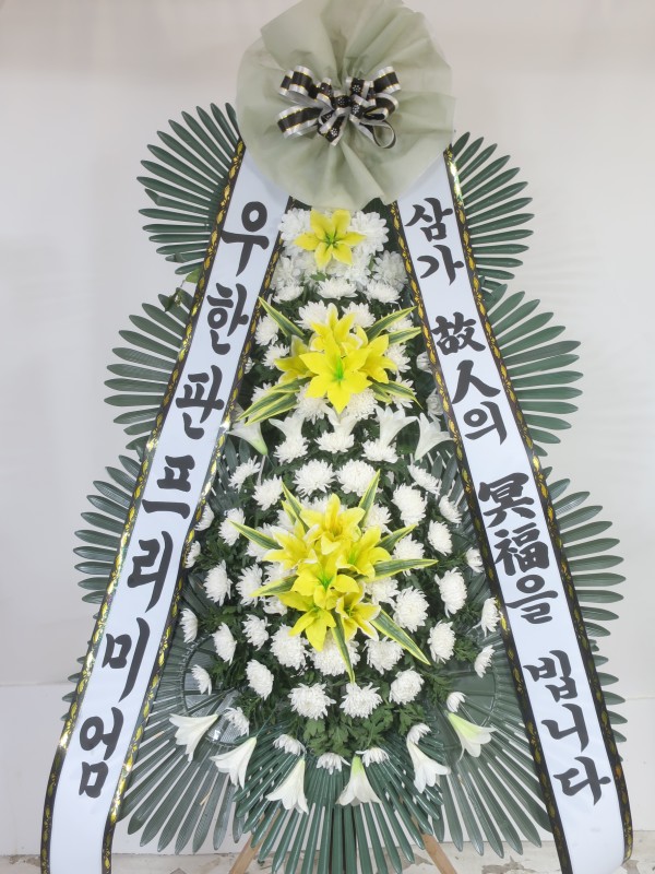 업로드 이미지