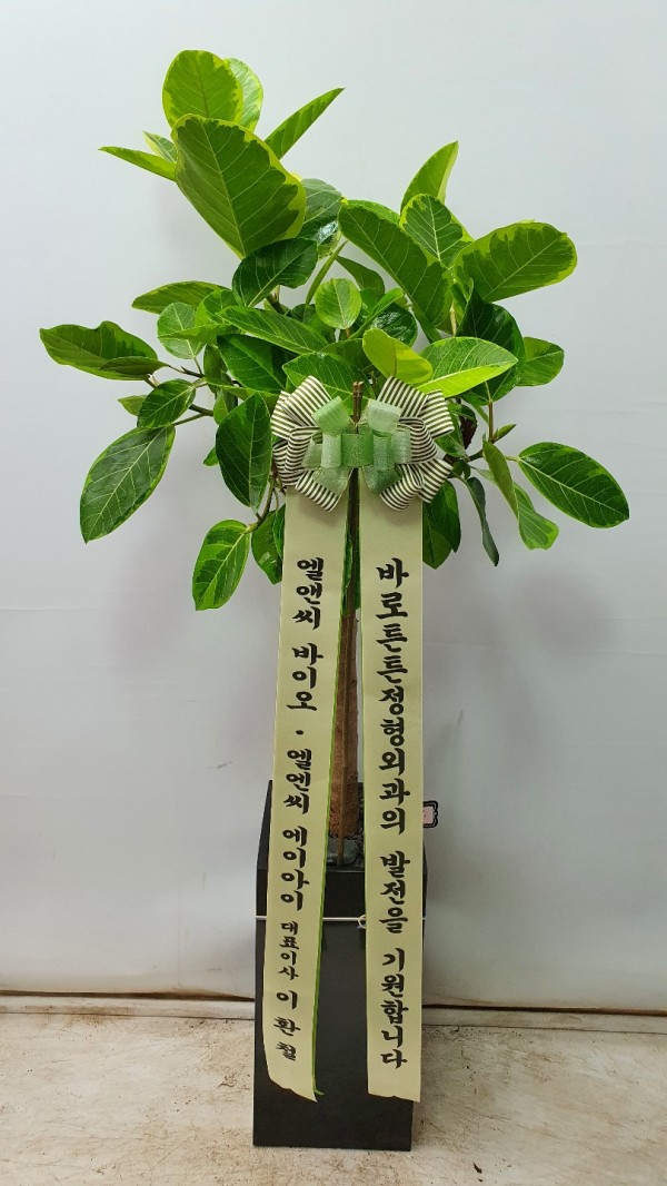 업로드 이미지