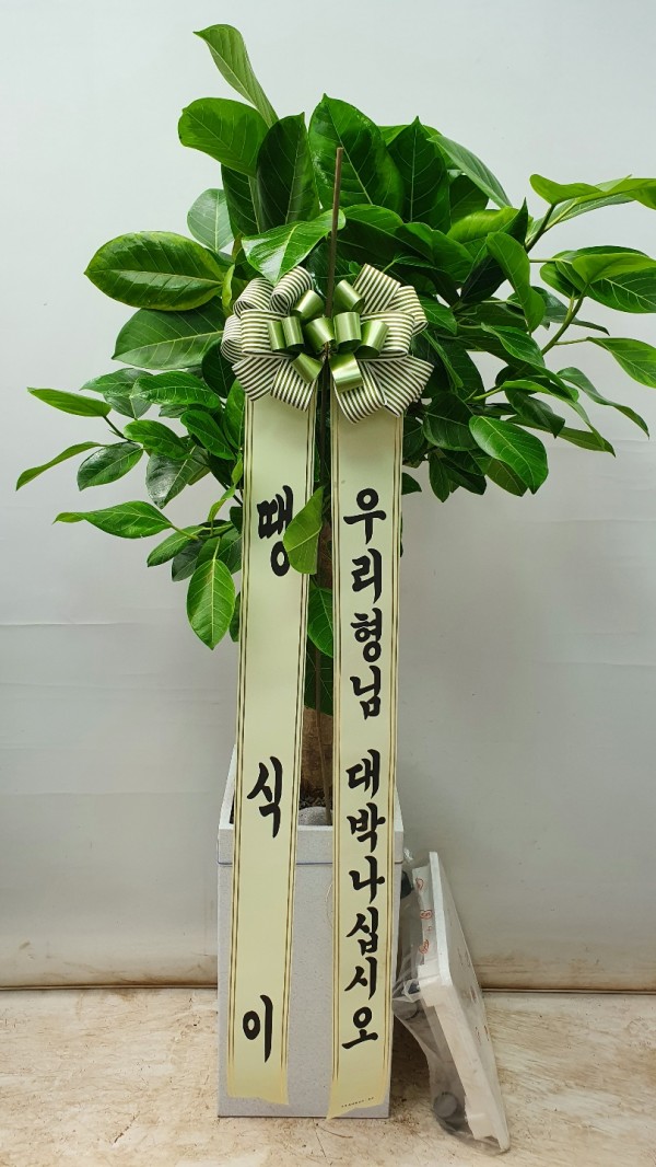 업로드 이미지