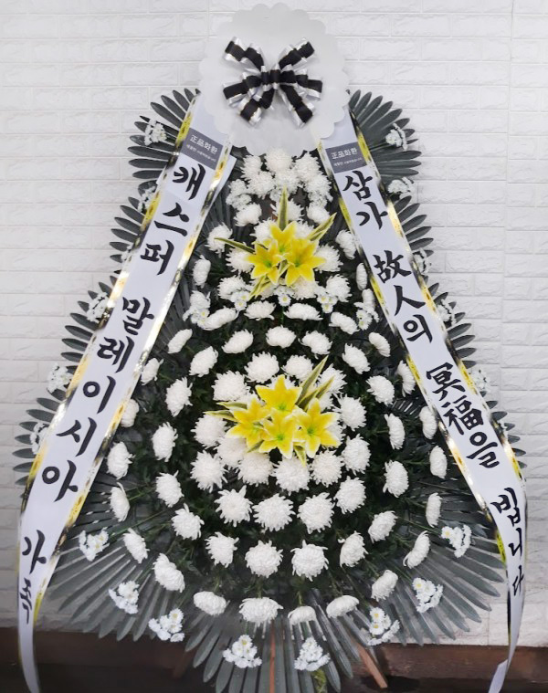 업로드 이미지