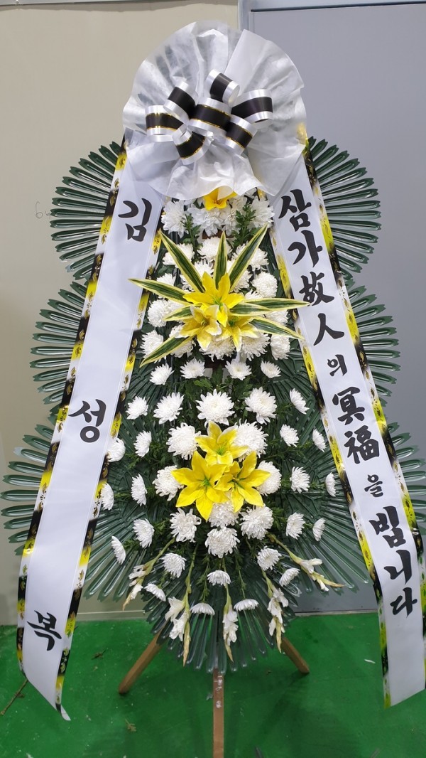 업로드 이미지