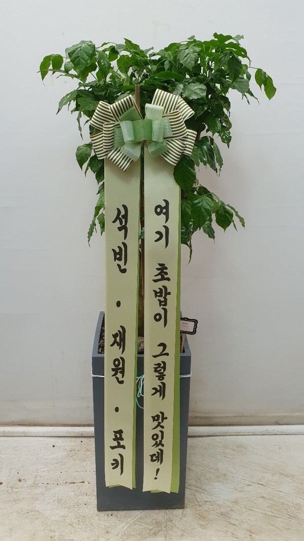 업로드 이미지