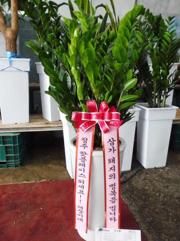 업로드 이미지