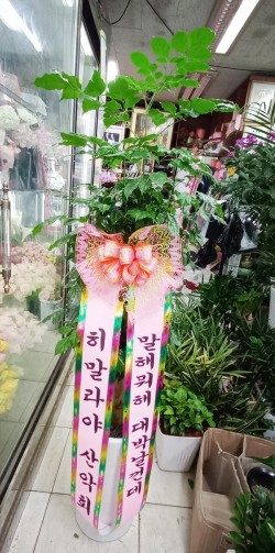 배송사진