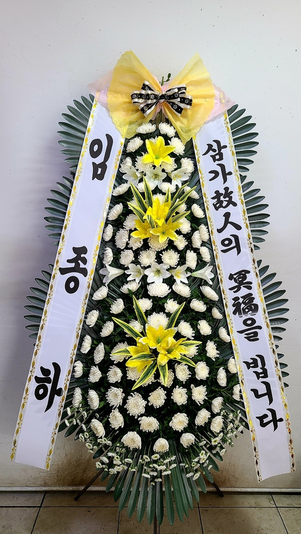 업로드 이미지
