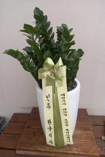 업로드 이미지