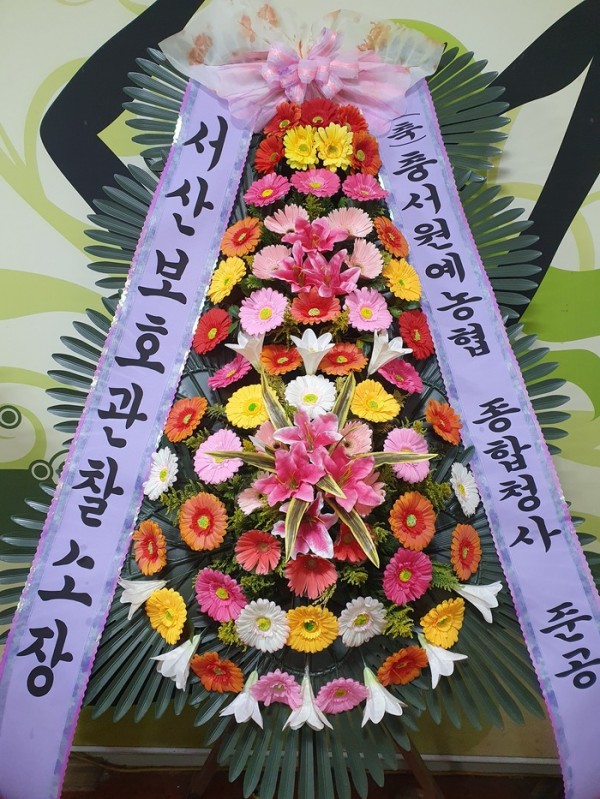 업로드 이미지