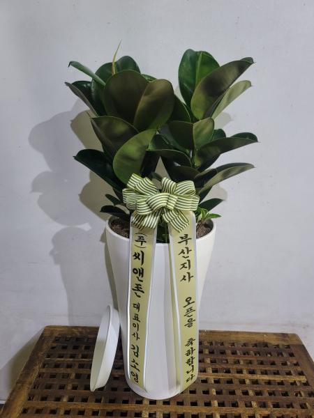 업로드 이미지