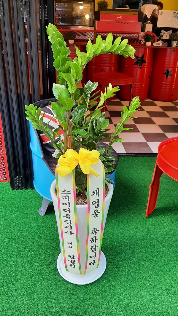 업로드 이미지