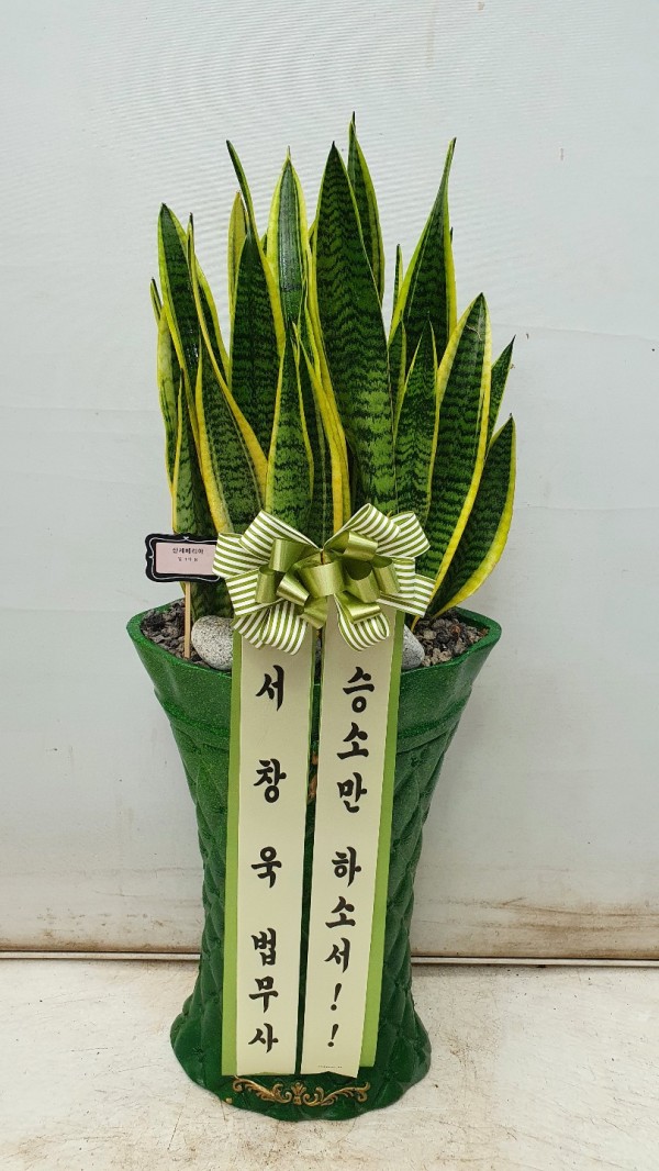 업로드 이미지