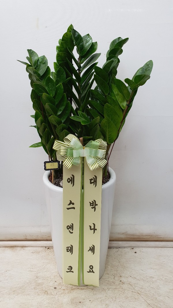 업로드 이미지