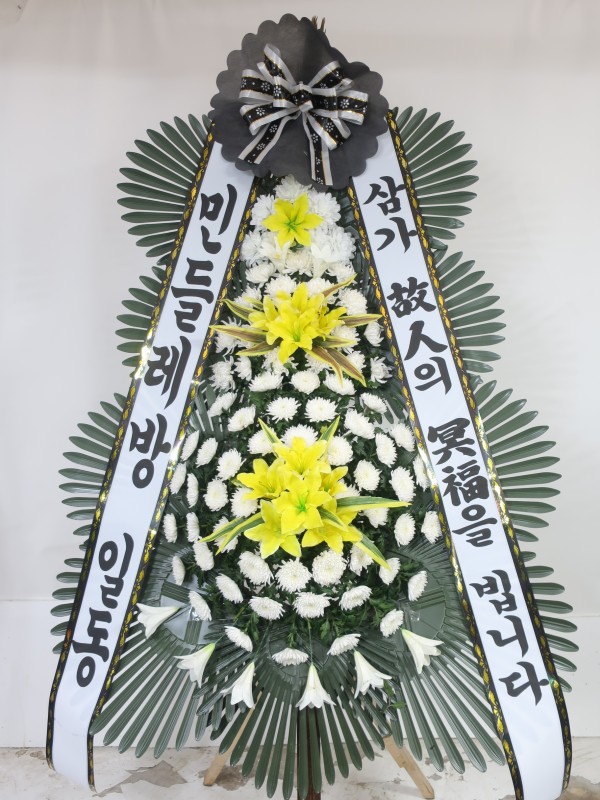 업로드 이미지