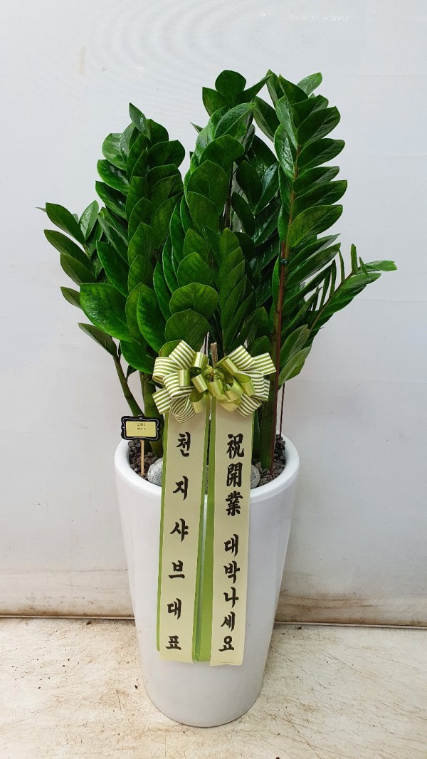 업로드 이미지