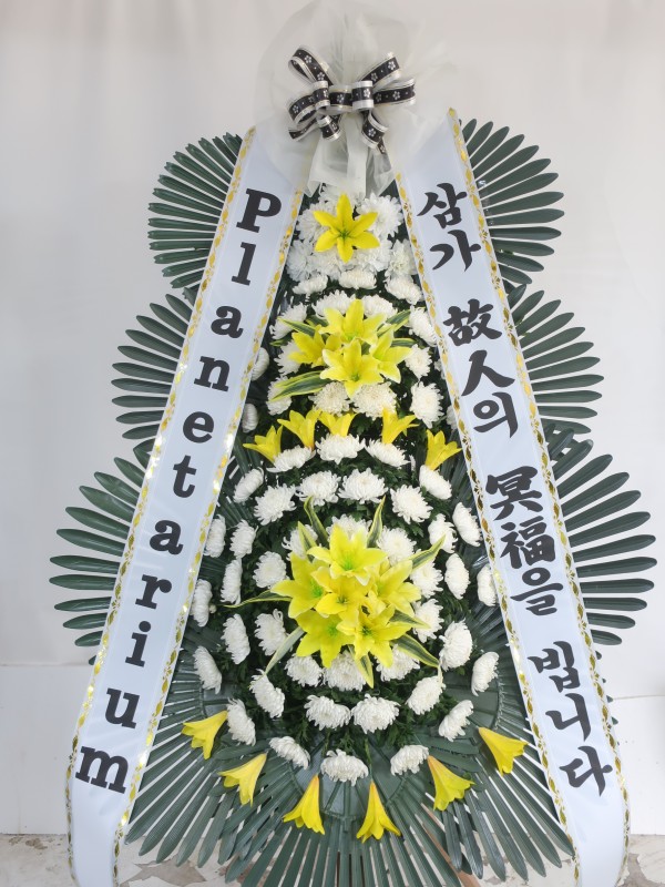업로드 이미지