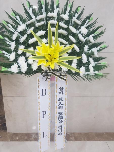 업로드 이미지