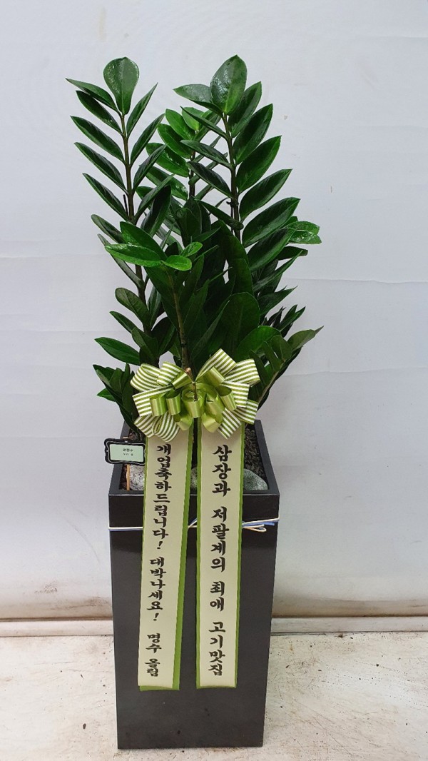 업로드 이미지