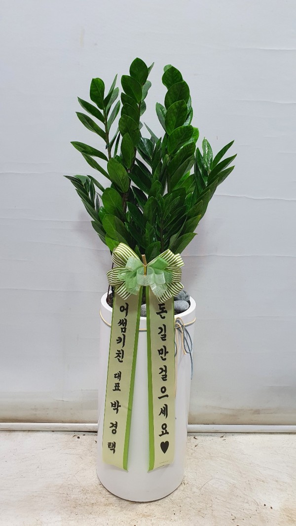 업로드 이미지