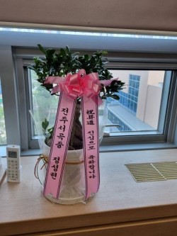 배송사진
