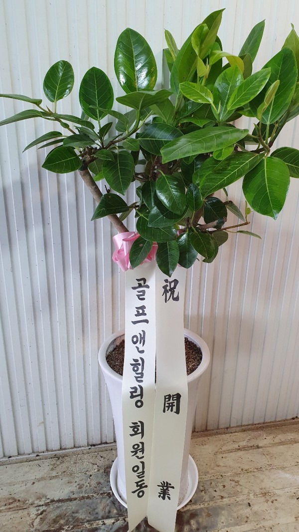 업로드 이미지